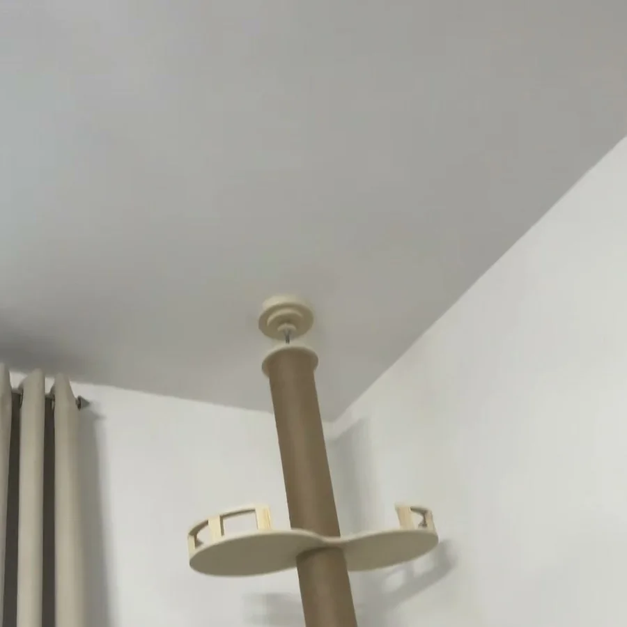 Le haut de l’arbre contre un plafond intact, sans aucun trou